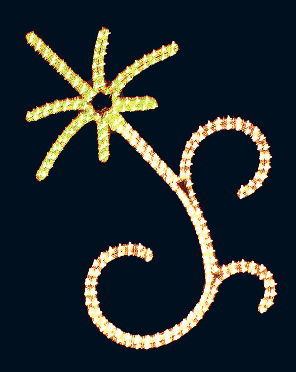 ANAÍS