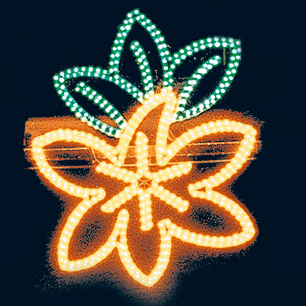 FLOR CENTRAL