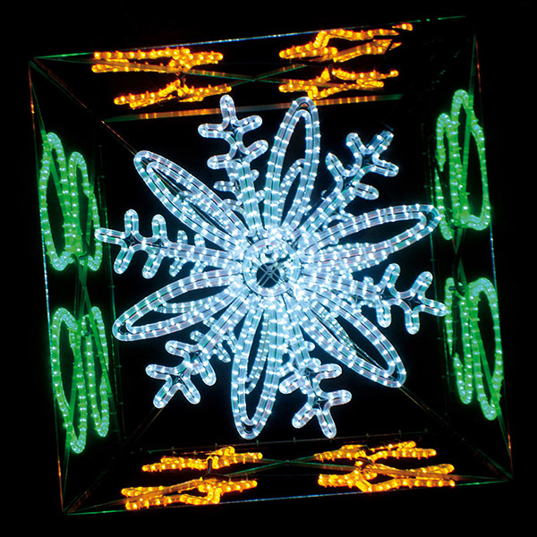 DAUS LEDS